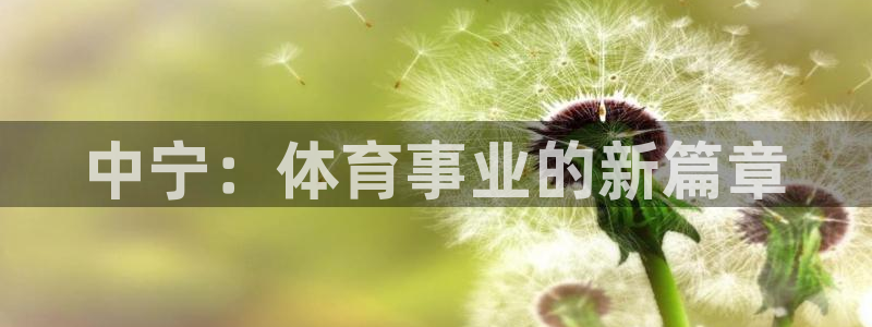 中欧体育ac米兰