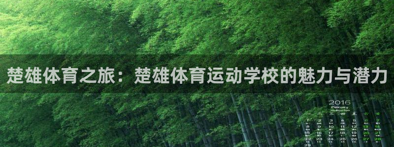 中欧体育kok官网首页：楚雄体育之旅：楚雄体育运动学校的魅力与潜力