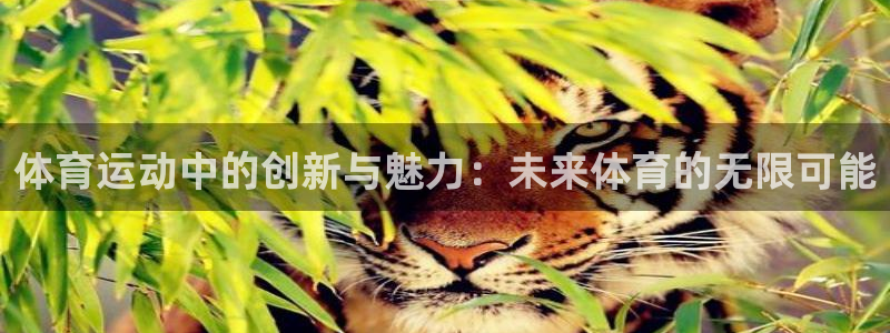 中欧体育下载：体育运动中的创新与魅力：未来体育的无限可能