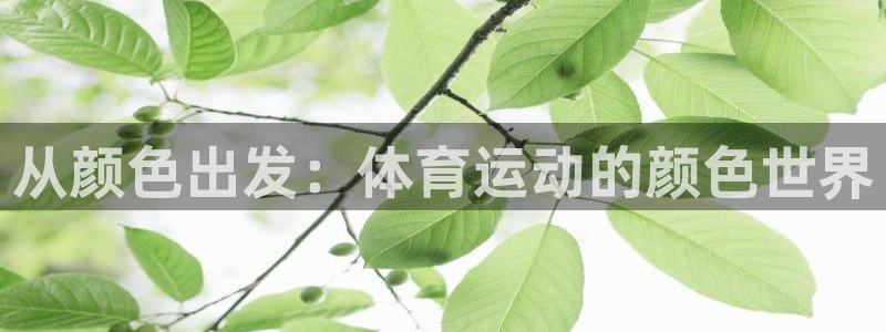 中欧体育登录：从颜色出发：体育运动的颜色世界