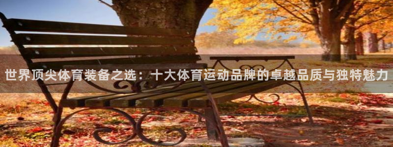 中欧体育kok