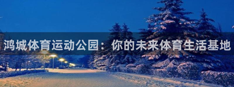 kok中欧体育登录：鸿城体育运动公园：你的未来体育生活基地